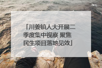 川姜镇人大开展二季度集中视察 聚焦民生项目落地见效